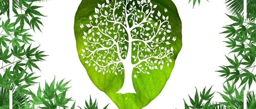 CCE植树节活动